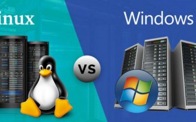 Advantage of Linux VPS Hosting Over Windows VPS Hosting