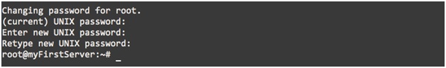 how to install a web server for system