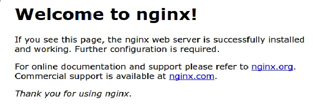 server IP 