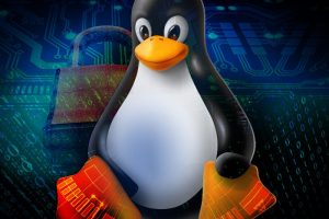 one dollar linux vps for you