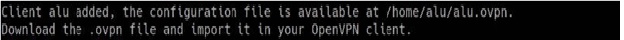 How to setup a VPN connection on a Linux server? - vpn connection windows 10
